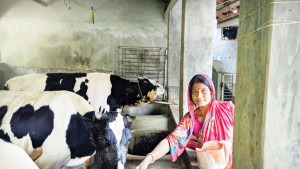 পিয়ার খামারে সবুজ উদ্যোগ
