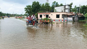 সড়কের জলাবদ্ধতায় মিশছে সার কারখানার বর্জ্যপানি