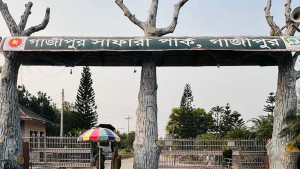 দুই দিনে ২ হাতির মৃত্যু, নানা প্রশ্ন