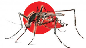 সাড়ে চার বছরে খরচ ১৪ কোটি টাকা, প্রাণ গেছে ২২৩ জনের
