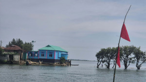 লাল নিশানে ঘিরে বিপর্যস্ত  হাওর রক্ষার চেষ্টা