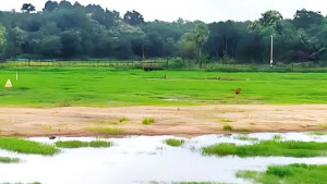 ছাগলনাইয়া সীমান্তে চোরাকারবারিদের লক্ষ্য করে গুলির অভিযোগ, আহত ১
