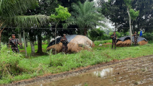 চারজনকে পুশইন চেষ্টা বিএসএফের, প্রতিহত করল বিজিবি