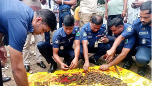 বগুড়ায় ড্রেন খুঁড়তেই মিলল ৩৩৪ গুলি