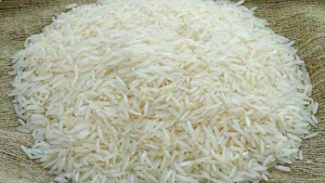 সুগন্ধি চালের রপ্তানি কমাচ্ছে সরকার