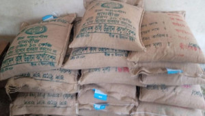 জামায়াত নেতার মাদ্রাসায় বন্ধ কক্ষে সরকারি ধানের বীজ