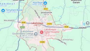 ‘তুই ফ্যাসিস্ট’—বলেই বিএনপি কর্মীকে এলোপাতাড়ি কিলঘুসি