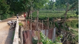 ৫০ বছরের পুরোনো সেতু বেহাল, চলাচলে ঝুঁকি