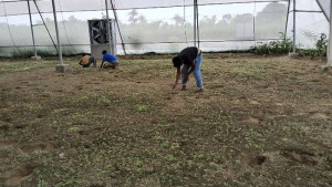 কোটচাঁদপুরে আধুনিক ‘পলি হাউস’ চাষের সূচনা