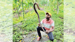 প্রকৃতিপ্রেমিক এক ‘আধুনিক সাপুড়ে’র গল্প