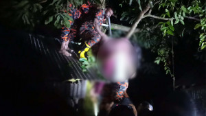 গাছের মগডালে উঠে অচেতন নারী, উদ্ধার করল ফায়ার সার্ভিস