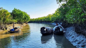সুন্দরবন থেকে ট্রলারসহ ৫ জেলে অপহরণ