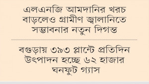 গ্যাসের বিকল্প হিসেবে গ্রামে বাড়ছে বায়োপ্লান্ট