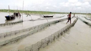 খালে বিলে চায়না দুয়ারি, প্রশাসন বসে আছে ‘বাজেট সংকটে’