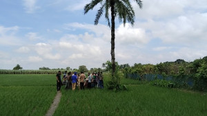 কোটচাঁদপুরে চাচাতো ভাইয়ের দা’র কোপে ভাই নিহত