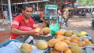 মৌসুম শেষে বাজারে আশ্বিনা আম, দাম নাগালের বাইরে