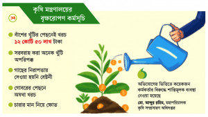 চারা, খুঁটি ও গোবর নিয়ে নানা অভিযোগ