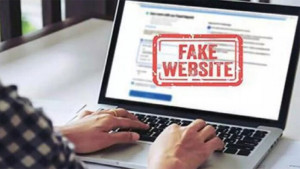নকল ডোমেইনে প্রতারণা ঝুঁকি