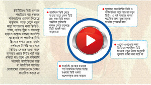 ইউটিউব থেকে আয়ের নতুন শর্ত