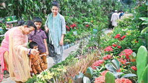 জাতীয় বৃক্ষমেলায় এবার চারা বিক্রি কম হয়েছে