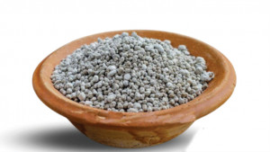 চার লাখ চাষির জন্য বরাদ্দ ১০৪৫ টন টিএসপি