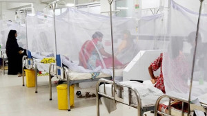ডেঙ্গুতে ৩ মৃত্যু, হাসপাতালে রেকর্ড ১০৯৭ রোগী