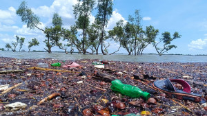 প্লাস্টিক দূষণ সুন্দরবনের জন্য নীরব ঘাতক
