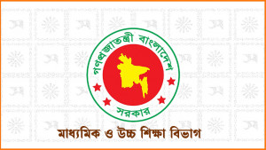শিক্ষাপ্রতিষ্ঠানে যেকোনো অনিয়মে দায়ী হবেন সভাপতি ও প্রতিষ্ঠানপ্রধান