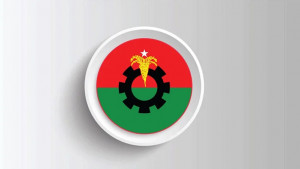 মাদারীপুরের ৩ আসনে বিএনপি জয়ী