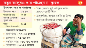 তিন মাসেও মেলেনি প্রণোদনা, লোকসানের চক্রে আলুচাষি