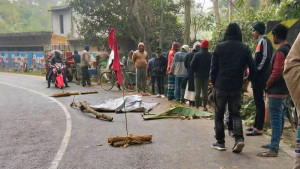 ডাম্প ট্রাক-নসিমন মুখোমুখি সংঘর্ষে প্রাণ গেল মাছ ব্যবসায়ীর