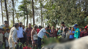 সিলেটে ডোবায় পড়া হাতিটি বাঁচানো গেল না