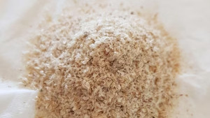 ইসবগুল খান নিয়ম মেনে