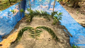 পাশাপাশি কবরে দাফন হলো কারাবন্দি ছাত্রলীগ নেতার স্ত্রী-সন্তানের