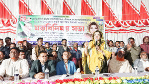 বিএনপি প্রতিহিংসার রাজনীতি করে না: শামা ওবায়েদ