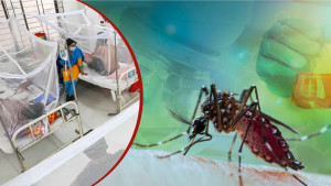 ডেঙ্গু আক্রান্তের হার ঢাকার বাইরে ৫ বছরে সর্বোচ্চ