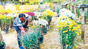 শিক্ষক দম্পতির শখের বাগান  এখন বিনোদন কেন্দ্র