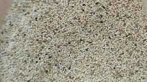 চার কৌশলে নিষিদ্ধ পপি চোরাচালান