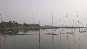 মধুমতী বাঁওড়ে অবৈধভাবে মাছ শিকার চলছেই