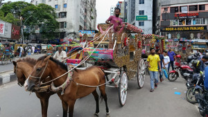 ঐতিহ্যের টমটম এখন শখের বাহন, টিকে থাকার লড়াইও কঠিন