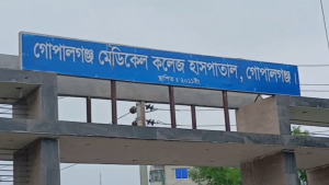 গোপালগঞ্জে ট্রাক-নসিমনের সংঘর্ষে কিশোর নিহত, আহত ২