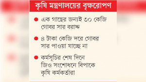 গোল বেধেছে গোবরে