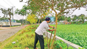 আনোয়ারের ১২ হাজার ‘সন্তান’