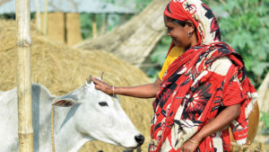 শান্তিময় বিশ্ব বিনির্মাণে সমবায়