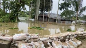 মনু নদীর তীররক্ষা বাঁধ  হুমকিতে, বন্যার আতঙ্ক