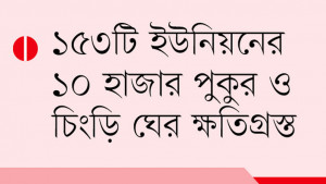 হঠাৎ বন্যায় কৃষি ও   মৎসে ব্যাপক ক্ষতি
