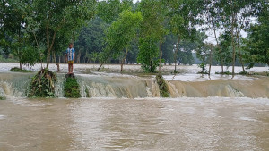 জলে-ঢলে বিপর্যস্ত সিলেটের তিন জেলা
