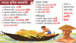বন্যার ক্ষতচিহ্ন কৃষিতে, ডুবেছে ১.১৪ লাখ হেক্টর জমির ফসল