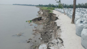 জরুরি প্রকল্পের নামে লুটপাটে পুরোনো সিন্ডিকেট