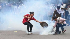 ‘তেলাপোকা’ বিক্ষোভে অতিকায় হস্তীর বিপদ